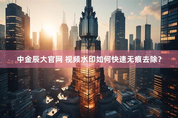 中金辰大官网 视频水印如何快速无痕去除？