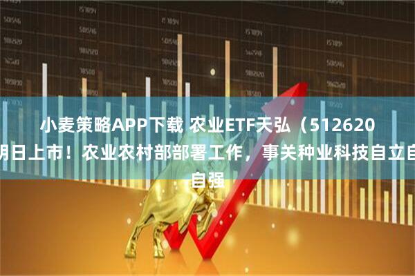 小麦策略APP下载 农业ETF天弘（512620）明日上市！农业农村部部署工作，事关种业科技自立自强