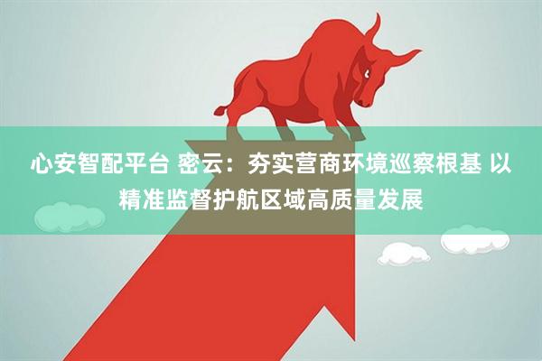 心安智配平台 密云：夯实营商环境巡察根基 以精准监督护航区域高质量发展