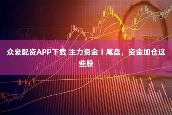 众豪配资APP下载 主力资金丨尾盘，资金加仓这些股
